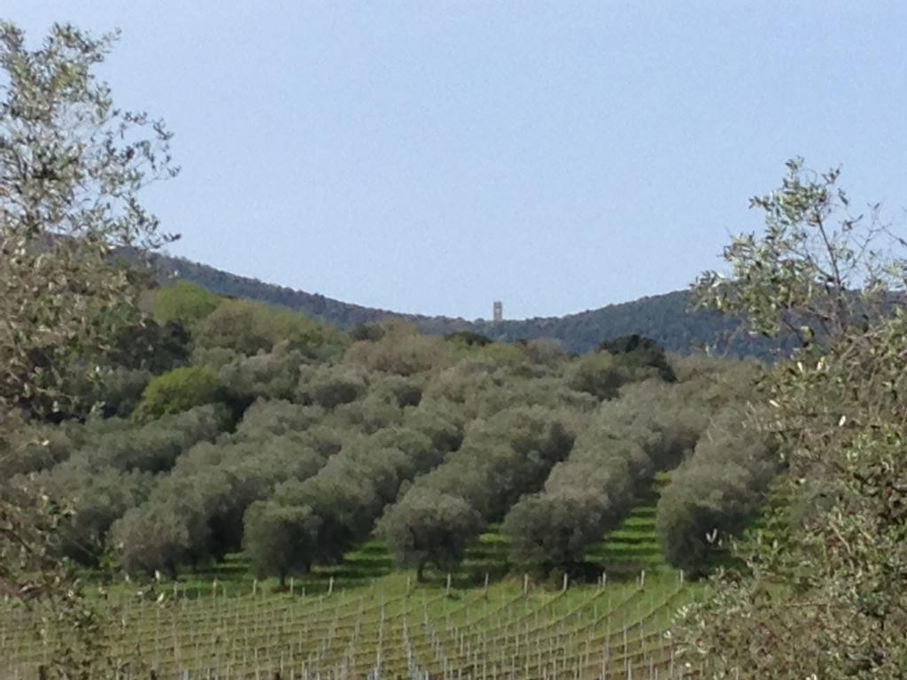 Podere Oslavia Az.Agr.Bio Giannini Alberese Eksteriør bilde